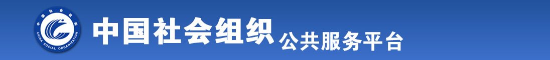 老操鸡吧网全国社会组织信息查询